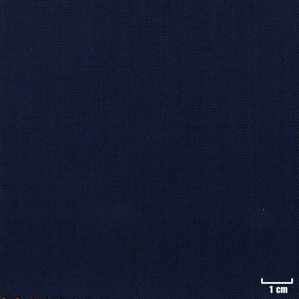 DARK 蓝色, 鲨鱼纹