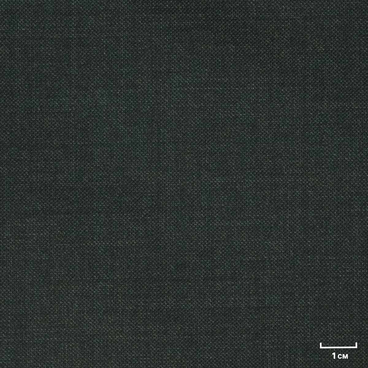 DARK 绿色, 鲨鱼纹